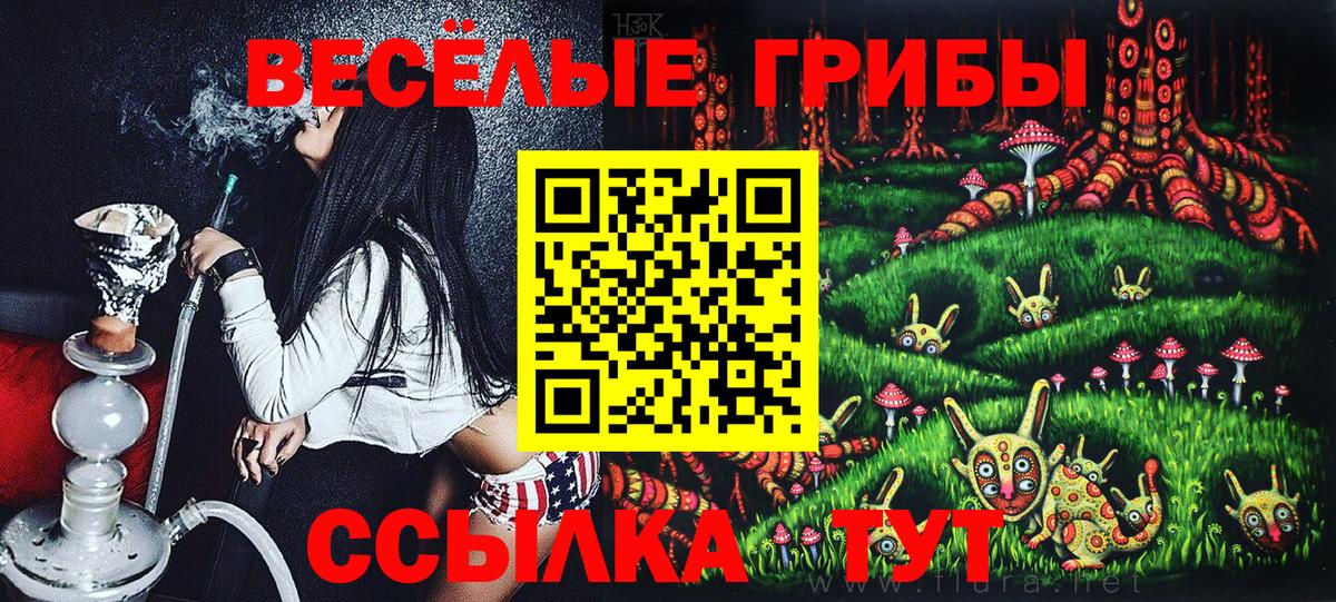 Псилоцибиновые грибы Psilocybe Усинск